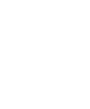 NGF03